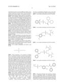 METHOD AND COMPOSITION OF A DUAL SENSITIVE RESIST diagram and image