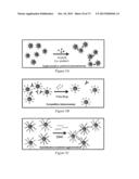 NMR SYSTEMS AND METHODS FOR THE RAPID DETECTION OF ANALYTES diagram and image