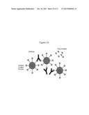 NMR SYSTEMS AND METHODS FOR THE RAPID DETECTION OF ANALYTES diagram and image