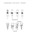 NMR SYSTEMS AND METHODS FOR THE RAPID DETECTION OF ANALYTES diagram and image