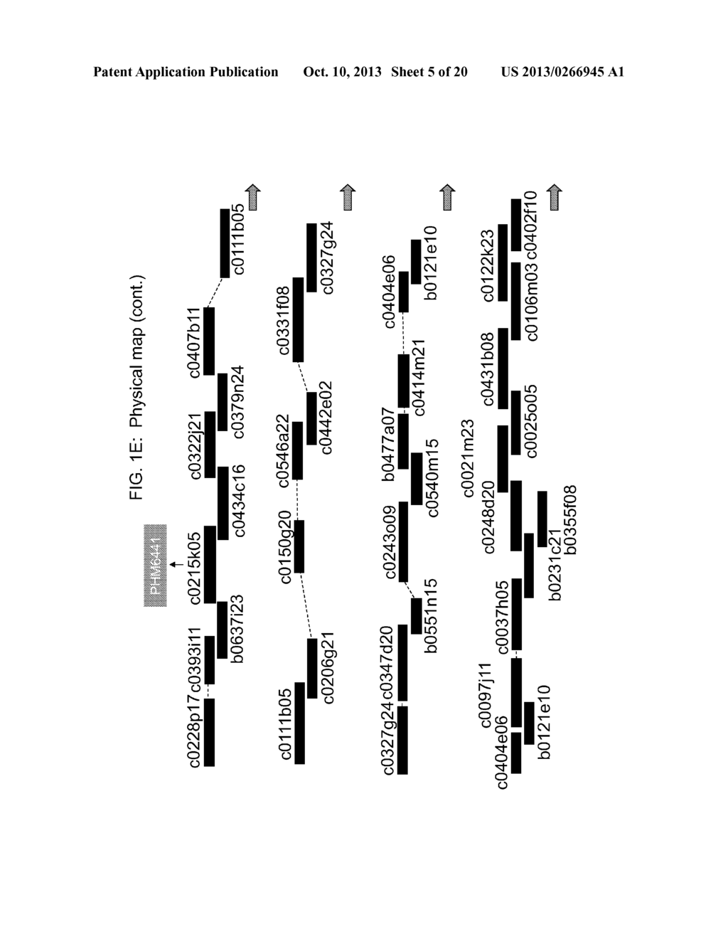 GENETIC LOCI ASSOCIATED WITH MECHANICAL STALK STRENGTH IN MAIZE - diagram, schematic, and image 06