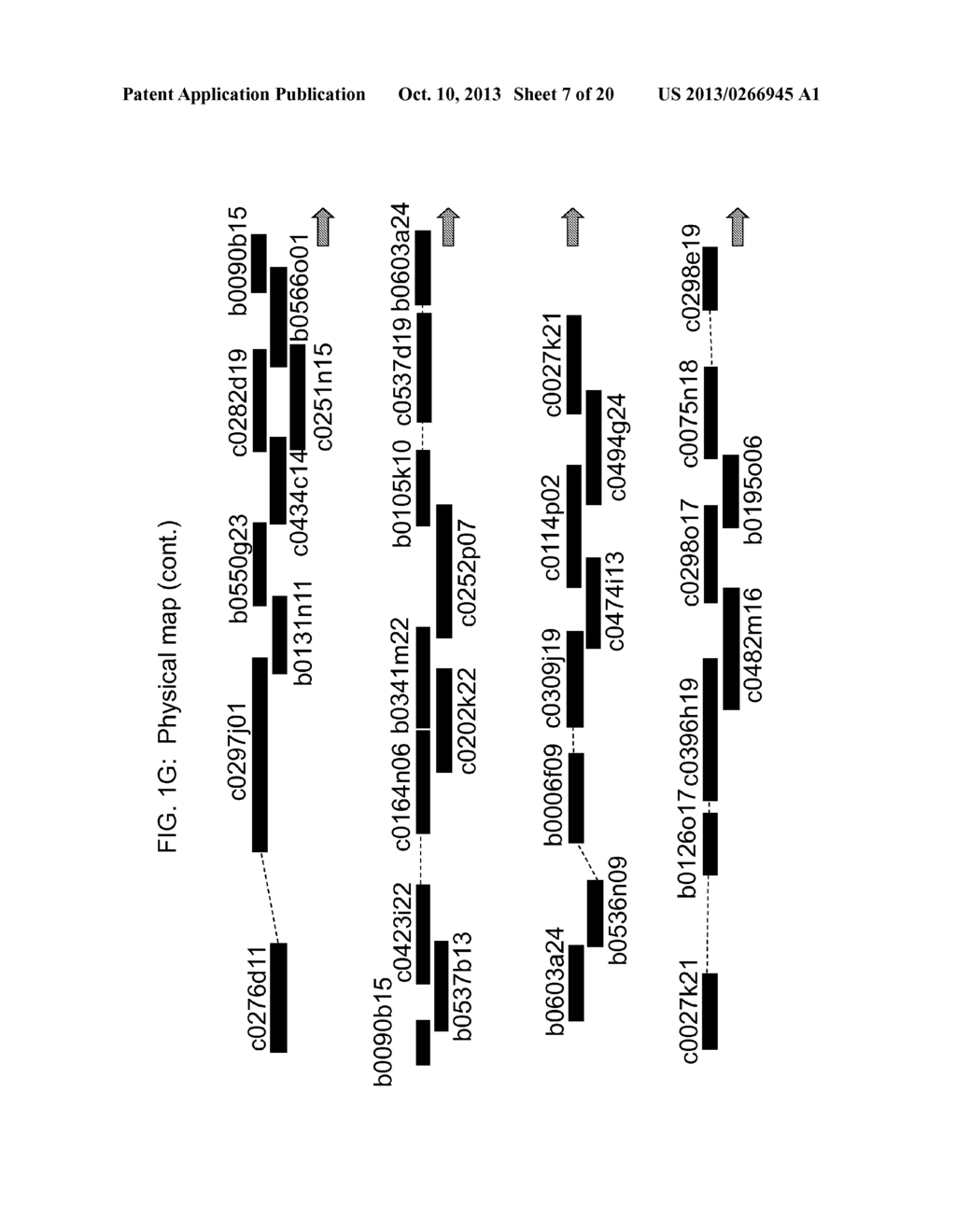 GENETIC LOCI ASSOCIATED WITH MECHANICAL STALK STRENGTH IN MAIZE - diagram, schematic, and image 08