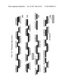 GENETIC LOCI ASSOCIATED WITH MECHANICAL STALK STRENGTH IN MAIZE diagram and image