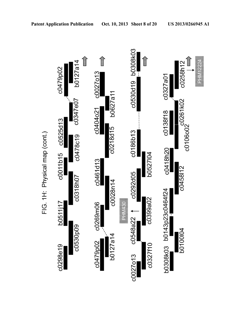 GENETIC LOCI ASSOCIATED WITH MECHANICAL STALK STRENGTH IN MAIZE - diagram, schematic, and image 09