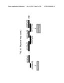 GENETIC LOCI ASSOCIATED WITH MECHANICAL STALK STRENGTH IN MAIZE diagram and image