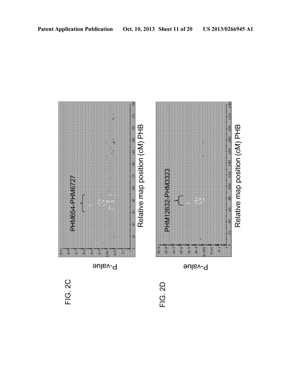 GENETIC LOCI ASSOCIATED WITH MECHANICAL STALK STRENGTH IN MAIZE - diagram, schematic, and image 12