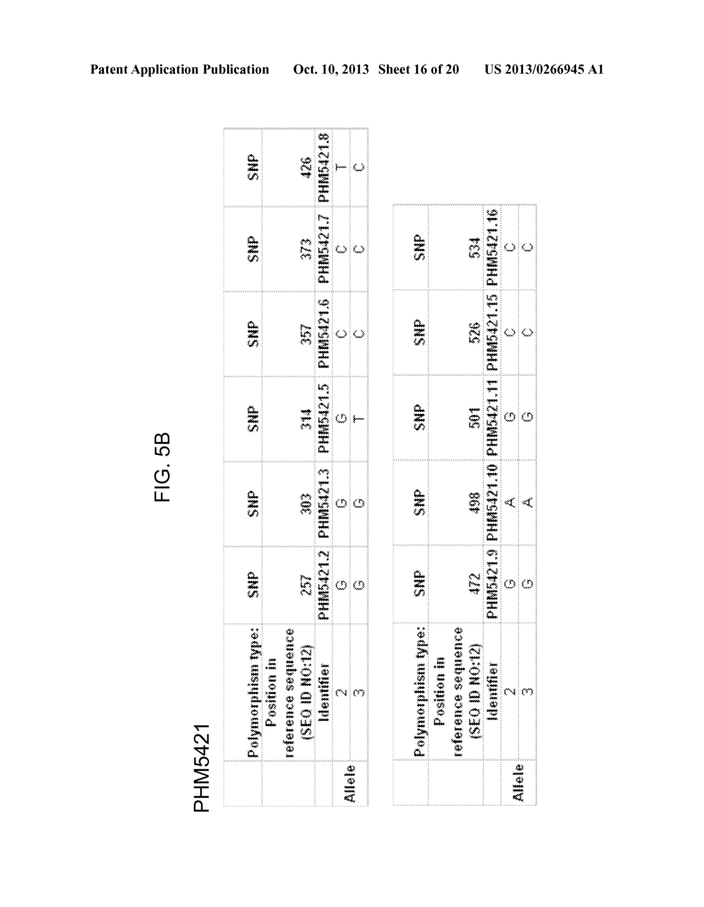 GENETIC LOCI ASSOCIATED WITH MECHANICAL STALK STRENGTH IN MAIZE - diagram, schematic, and image 17