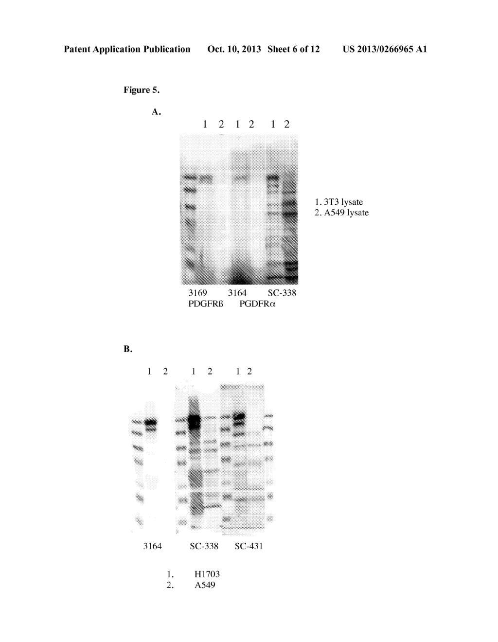 Identification of Non-Small Cell Lung Carcinoma (NSCLC) Tumors Expressing     PDGFR-ALPHA - diagram, schematic, and image 07