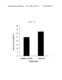 COMPOSITION FOR INCREASING SACCHARIFICATION EFFICIENCY OF BIOMASS, METHOD     FOR INCREASING SACCHARIFICATION EFFICIENCY OF BIOMASS AND METHOD FOR     PREPARING BIOETHANOL DERIVED FROM BIOMASS ON A LARGE SCALE USING     CHAPERONE PROTEIN diagram and image