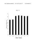 COMPOSITION FOR INCREASING SACCHARIFICATION EFFICIENCY OF BIOMASS, METHOD     FOR INCREASING SACCHARIFICATION EFFICIENCY OF BIOMASS AND METHOD FOR     PREPARING BIOETHANOL DERIVED FROM BIOMASS ON A LARGE SCALE USING     CHAPERONE PROTEIN diagram and image