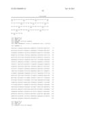 TRANSAMINASE POLYPEPTIDES diagram and image