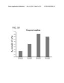 POLYSILICATE-POLYSILICONE ENZYME IMMOBILIZATION MATERIALS diagram and image