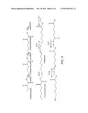 Host Cells and Methods for Producing Diacid Compounds diagram and image