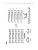 SYSTEM AND METHOD OF MODULAR CLONING diagram and image