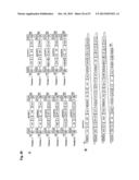 SYSTEM AND METHOD OF MODULAR CLONING diagram and image