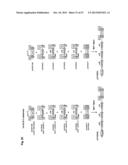 SYSTEM AND METHOD OF MODULAR CLONING diagram and image