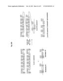 SYSTEM AND METHOD OF MODULAR CLONING diagram and image