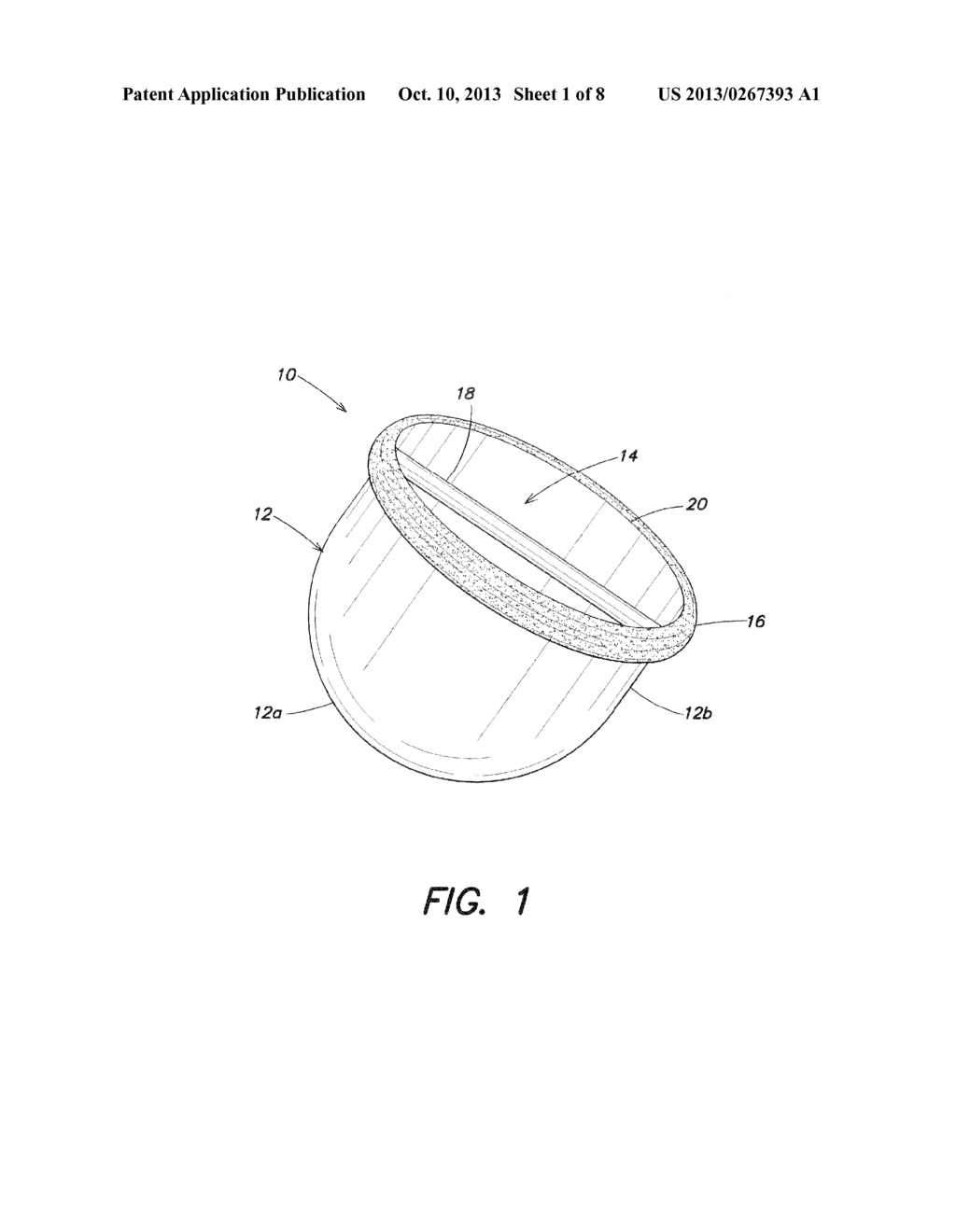 WEIGHTED EXERCISE DEVICE PROVIDING MULTIPLE GRIPS - diagram, schematic, and image 02