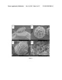 Porous Oxide Microparticles and Composites Thereof and Methods of Making     and Using Same diagram and image