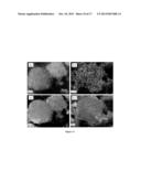 Porous Oxide Microparticles and Composites Thereof and Methods of Making     and Using Same diagram and image