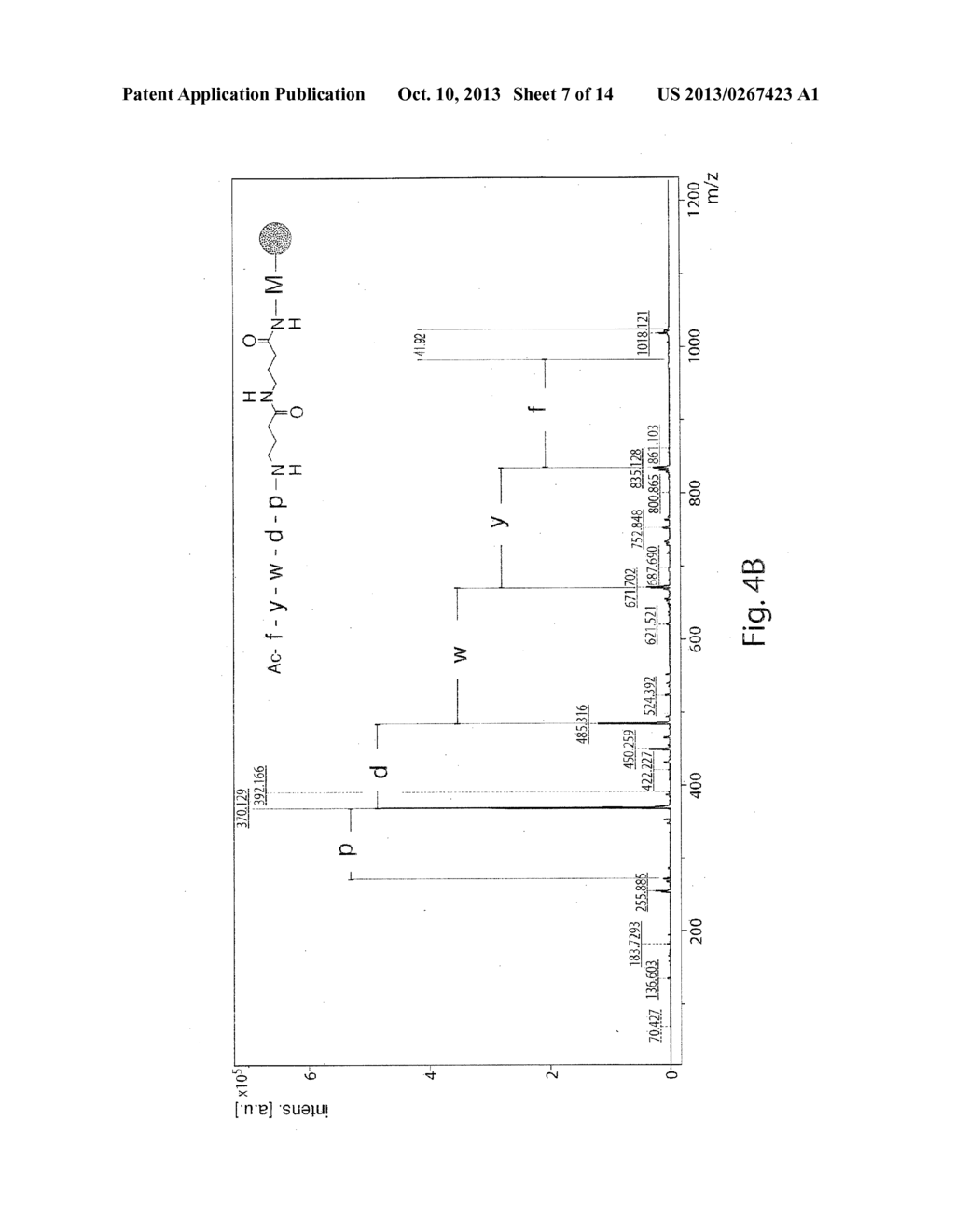 PEPTIDE LIBRARIES FOR SCREENING AND OTHER APPLICATIONS - diagram, schematic, and image 08