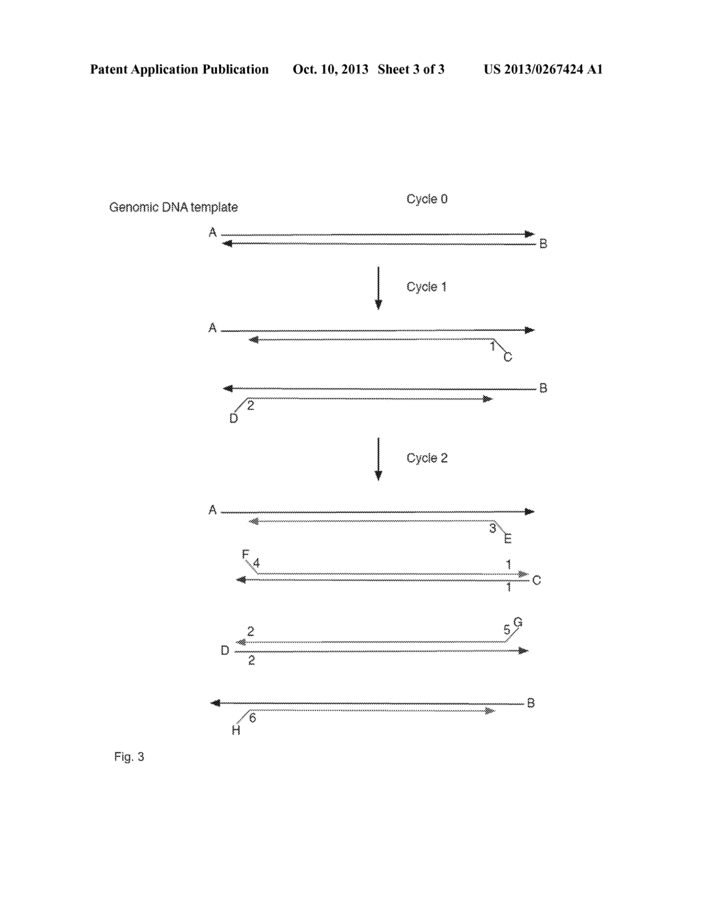 Method of tagging using a split DBR - diagram, schematic, and image 04