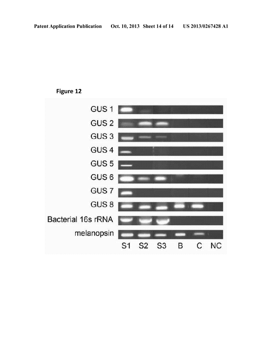 High throughput digital karyotyping for biome characterization - diagram, schematic, and image 15