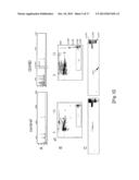 METHOD AND REAGENT FOR DIAGNOSIS AND/OR EVALUATION OF PROGRESSION OF     GRAFT-VERSUS-HOST DISEASE diagram and image