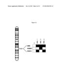 IN VITRO DIAGNOSTIC METHOD FOR PATIENTS WITH SPLENIC MARGINAL ZONE     LYMPHOMA diagram and image