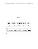 IN VITRO DIAGNOSTIC METHOD FOR PATIENTS WITH SPLENIC MARGINAL ZONE     LYMPHOMA diagram and image