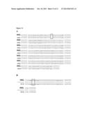 IN VITRO DIAGNOSTIC METHOD FOR PATIENTS WITH SPLENIC MARGINAL ZONE     LYMPHOMA diagram and image