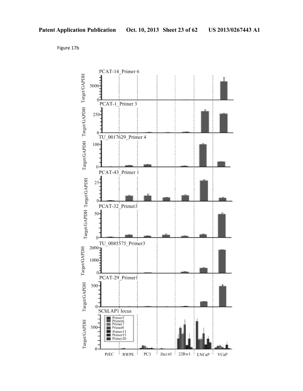 ncRNA AND USES THEREOF - diagram, schematic, and image 24