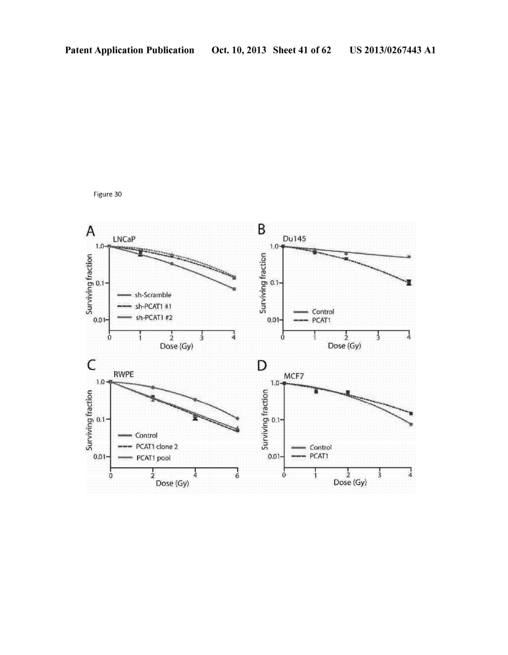 ncRNA AND USES THEREOF - diagram, schematic, and image 42