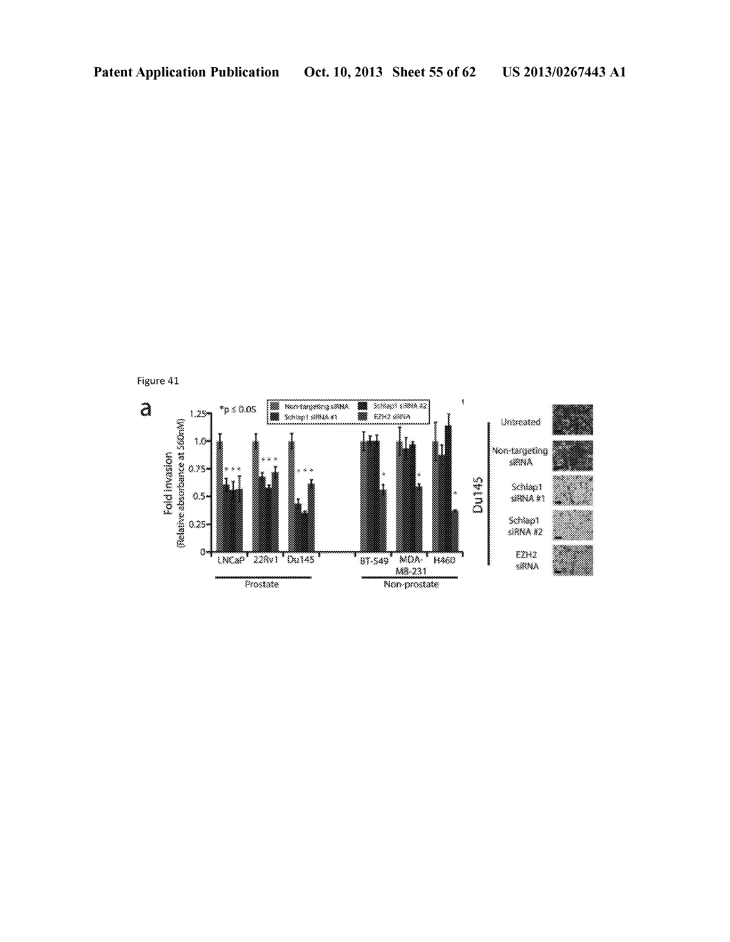 ncRNA AND USES THEREOF - diagram, schematic, and image 56