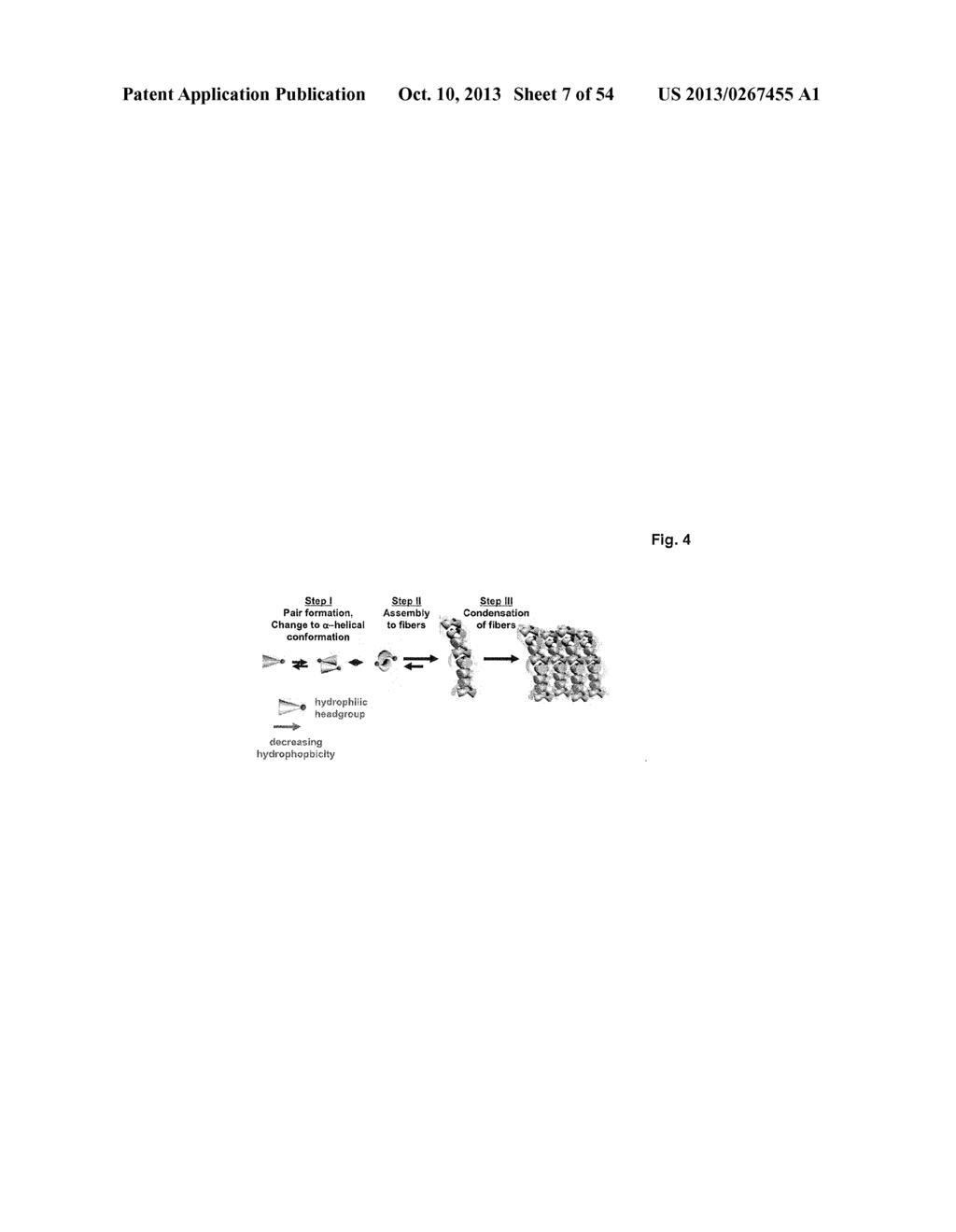 CROSSLINKED PEPTIDE HYDROGELS - diagram, schematic, and image 08