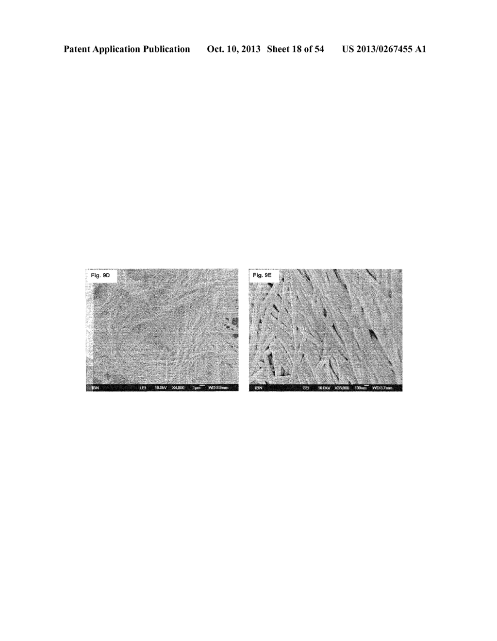 CROSSLINKED PEPTIDE HYDROGELS - diagram, schematic, and image 19