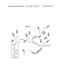 PEPTIDE INHIBITORS OF PROTEIN SYNTHESIS diagram and image