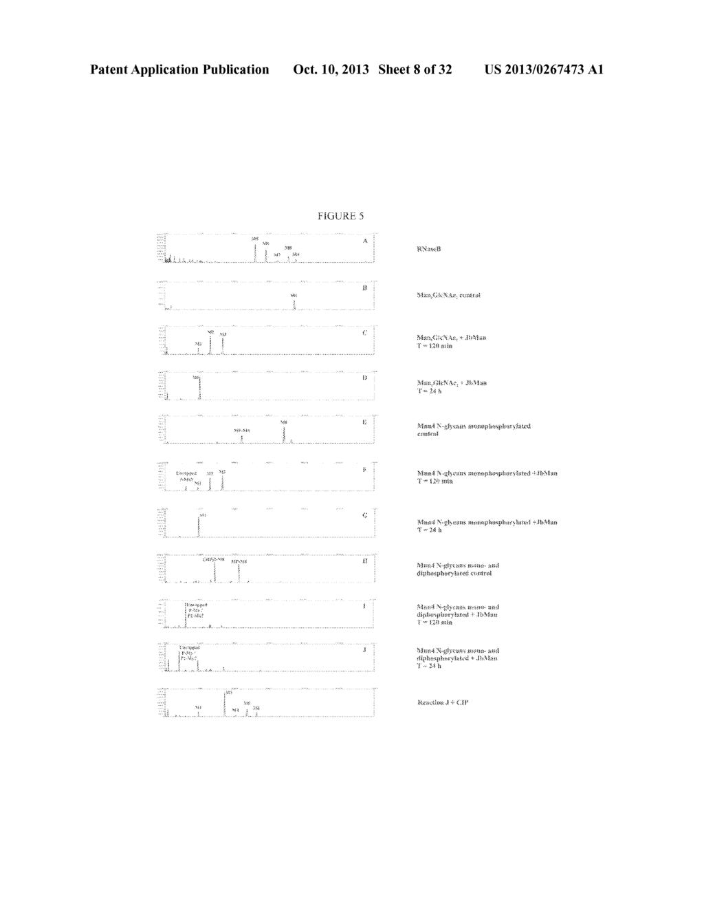 MANNOSIDASES CAPABLE OF UNCAPPING MANNOSE-1-PHOSPHO-6-MANNOSE LINKAGES AND     DEMANNOSYLATING PHOSPHORYLATED N-GLYCANS AND METHODS OF FACILITATING     MAMMALIAN CELLULAR UPTAKE OF GLYCOPROTEINS - diagram, schematic, and image 09