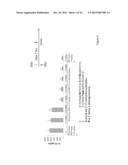 IMMUNE REGULATORY OLIGONUCLEOTIDE (IRO) COMPOUNDS TO MODULATE TOLL-LIKE     RECEPTOR BASED IMMUNE RESPONSE diagram and image