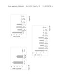 IMMUNE REGULATORY OLIGONUCLEOTIDE (IRO) COMPOUNDS TO MODULATE TOLL-LIKE     RECEPTOR BASED IMMUNE RESPONSE diagram and image