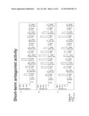 IMMUNE REGULATORY OLIGONUCLEOTIDE (IRO) COMPOUNDS TO MODULATE TOLL-LIKE     RECEPTOR BASED IMMUNE RESPONSE diagram and image