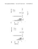 IMMUNE REGULATORY OLIGONUCLEOTIDE (IRO) COMPOUNDS TO MODULATE TOLL-LIKE     RECEPTOR BASED IMMUNE RESPONSE diagram and image