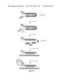 TRANSCRIPTOME IN VIVO ANALYSIS diagram and image