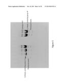 TRANSCRIPTOME IN VIVO ANALYSIS diagram and image