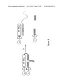 TRANSCRIPTOME IN VIVO ANALYSIS diagram and image