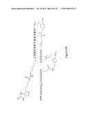 TRANSCRIPTOME IN VIVO ANALYSIS diagram and image