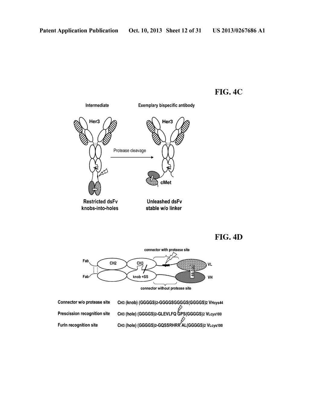 BISPECIFIC ANTIBODIES COMPRISING A DISULFIDE STABILIZED - FV FRAGMENT - diagram, schematic, and image 13