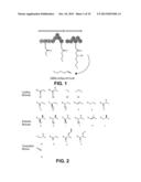 PRODUCING ALPHA-OLEFINS USING POLYKETIDE SYNTHASES diagram and image