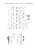 PRODUCING ALPHA-OLEFINS USING POLYKETIDE SYNTHASES diagram and image