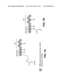 PRODUCING ALPHA-OLEFINS USING POLYKETIDE SYNTHASES diagram and image